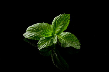 Similar image 1587303