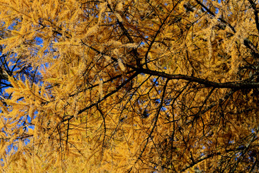 Similar image 1587307