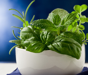 Similar image 1587310