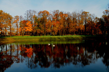 Similar image 1587326