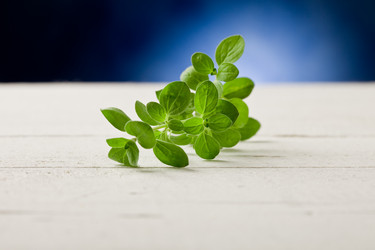 Similar image 1587339