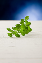 Similar image 1587340