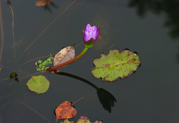 Similar image 1587370