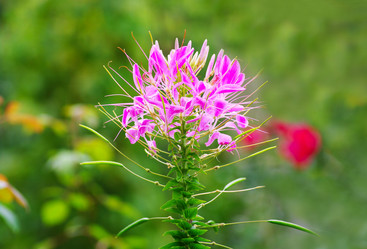 Similar image 1587372