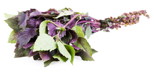 Similar image 1587374