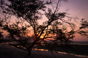 Similar image 1587430