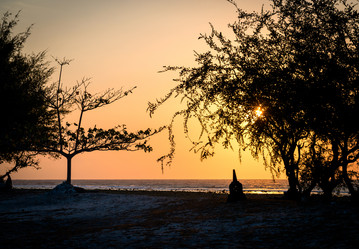 Similar image 1587461