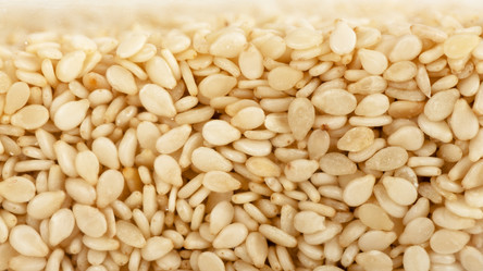 Similar image 1587515