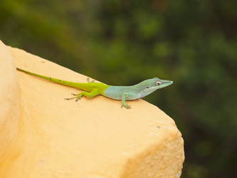 Similar image 1587570