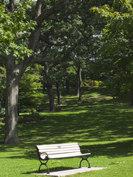 Similar image 1587572