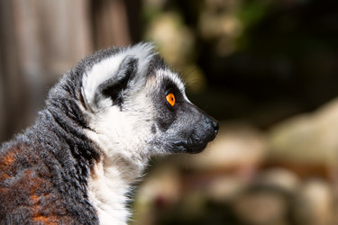 Similar image 1587575