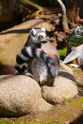 Similar image 1587576