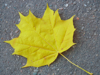 Similar image 1587584