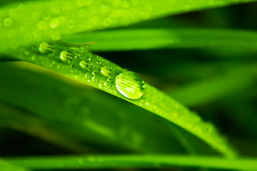 Similar image 1587739