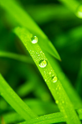 Similar image 1587740