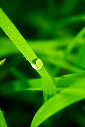 Similar image 1587741