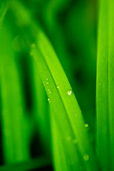 Similar image 1587742