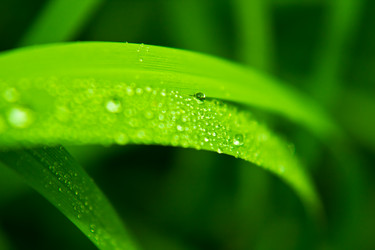 Similar image 1587743