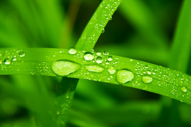 Similar image 1587744