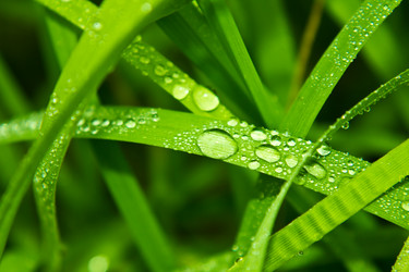 Similar image 1587745