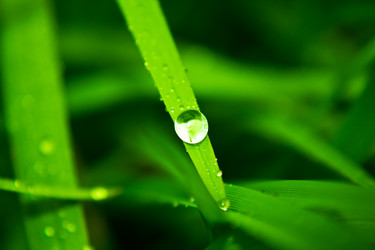 Similar image 1587746