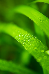 Similar image 1587747