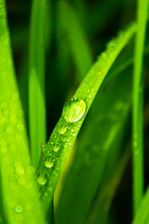 Similar image 1587748