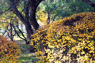 Similar image 1587752