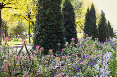 Similar image 1587753