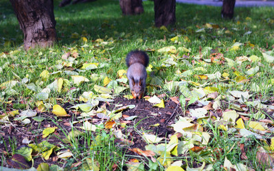 Similar image 1587759