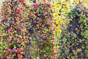 Similar image 1587761