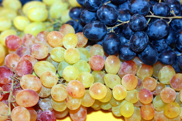 Similar image 1587762