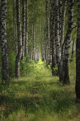 Similar image 1587765