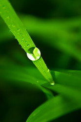 Similar image 1587768