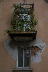 Similar image 1587784