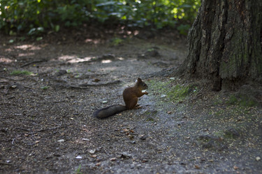 Similar image 1587795