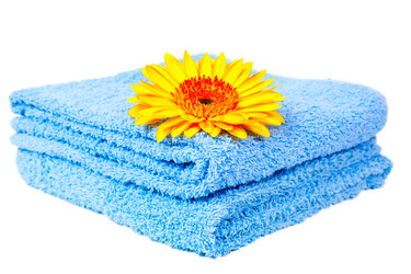 Similar image 1587851