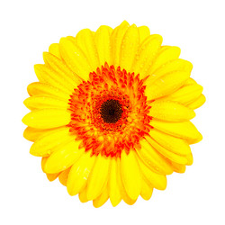 Similar image 1587858