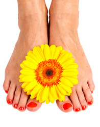 Similar image 1587859