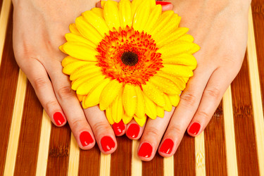 Similar image 1587861