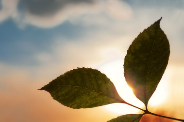 Similar image 1588007