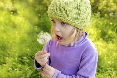 Similar image 1588130