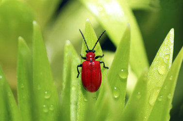 Similar image 1588151