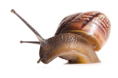 Similar image 1588331