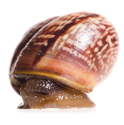 Similar image 1588334