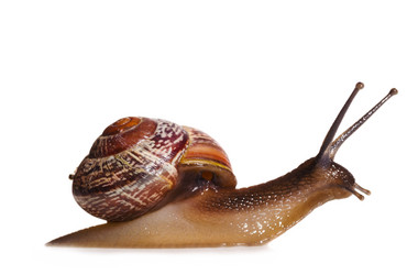 Similar image 1588348