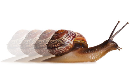 Similar image 1588349