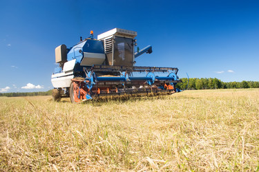 Similar image 1588374