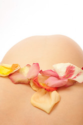 Similar image 1588405