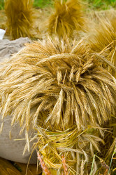 Similar image 1588434